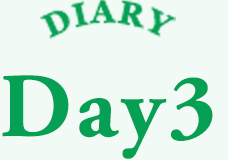DIARY Day3
