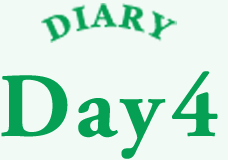 DIARY Day4